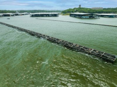 High Port Marina Wave Attenuator